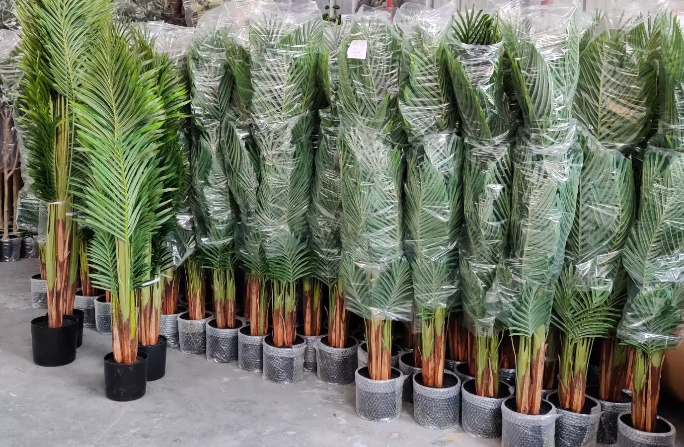 2020 Newest Artificial Phoenix Palm Tree, Potted, 130CM - 210CM From Sharetrade